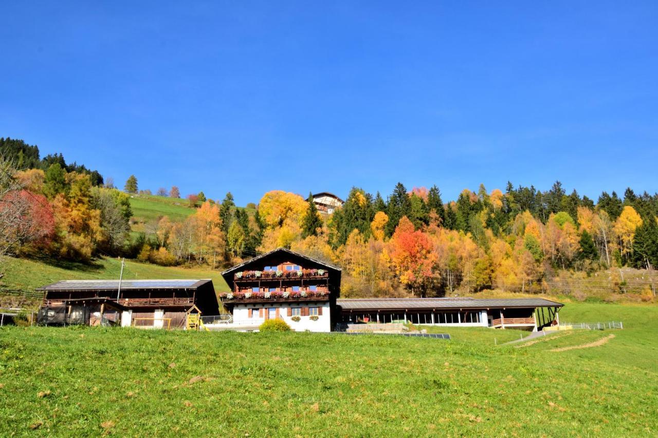 Wegscheiderhof Bed & Breakfast Bressanone Luaran gambar