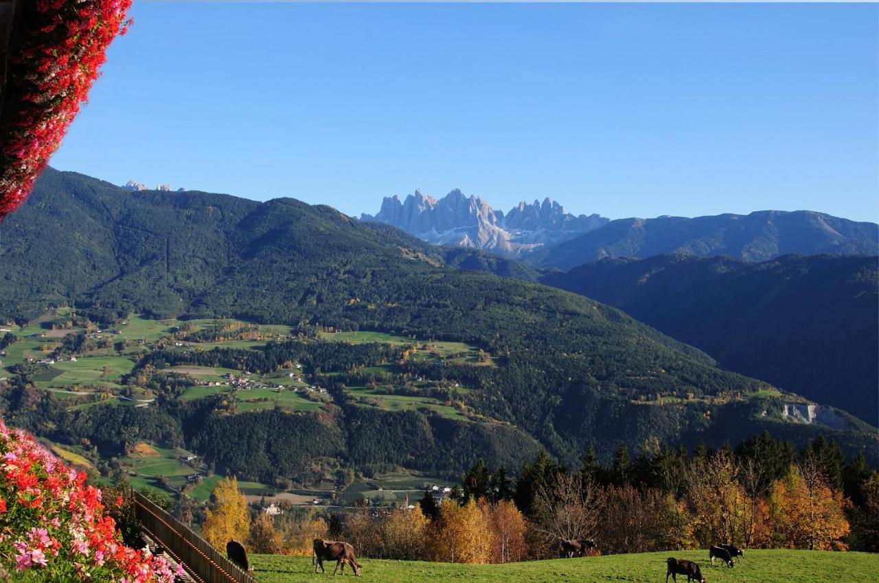 Wegscheiderhof Bed & Breakfast Bressanone Luaran gambar